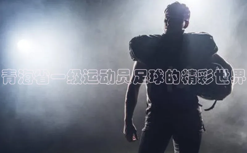 南宫注册入口官网注册ARGA公司青海省一级运动员足球的精彩世界