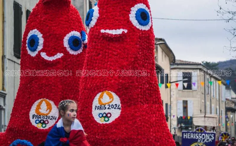 ng28官网入口注册华策影视内加特足球运动员名单：完整名单及个人资料汇总，助您了解内加特足球队阵容
