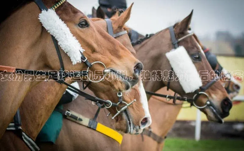 南宫28娱乐官网京东女扮男生足球运动员小说，独特魅力背后的秘密