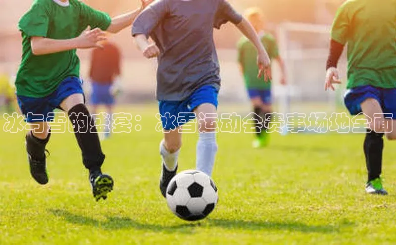 南宫28NG相信品牌力量滴滴出行冰与雪的盛宴：冰雪运动会赛事场地全面