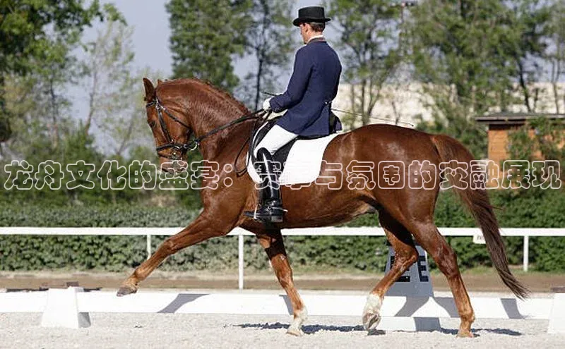 南宫28娱乐相信品牌的力量云创智行龙舟文化的盛宴：赛事与氛围的交融展现