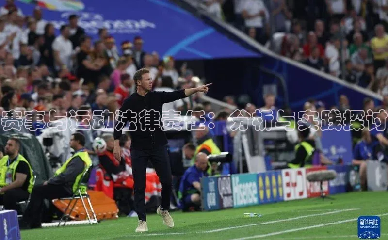 赛事与运动法律责任：分析与实践探讨