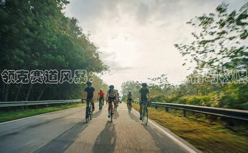领克赛道风暴：汽车运动的激情与极限