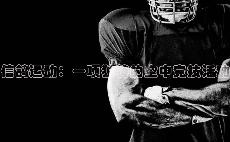 信鸽运动：一项独特的空中竞技活动