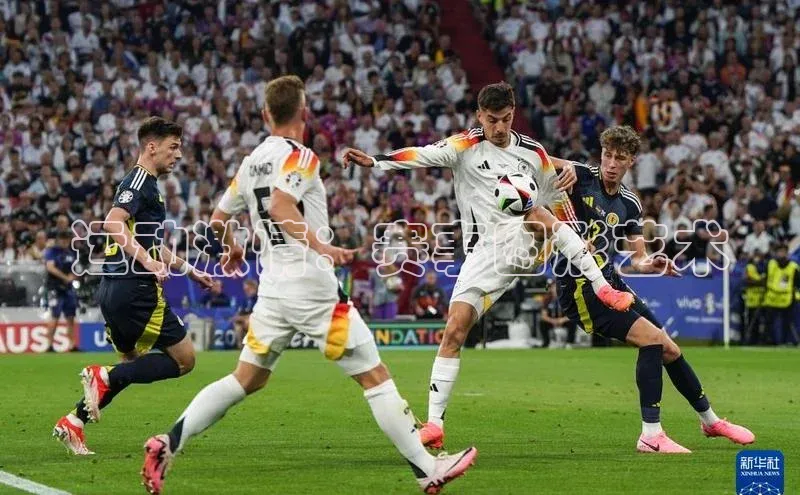 运动激情：赛事图形艺术