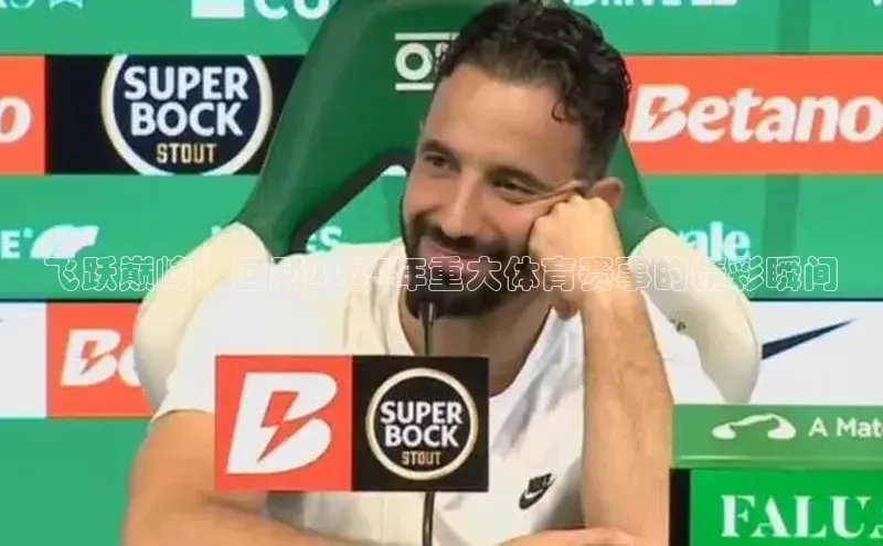 飞跃巅峰：回顾2024年重大体育赛事的精彩瞬间