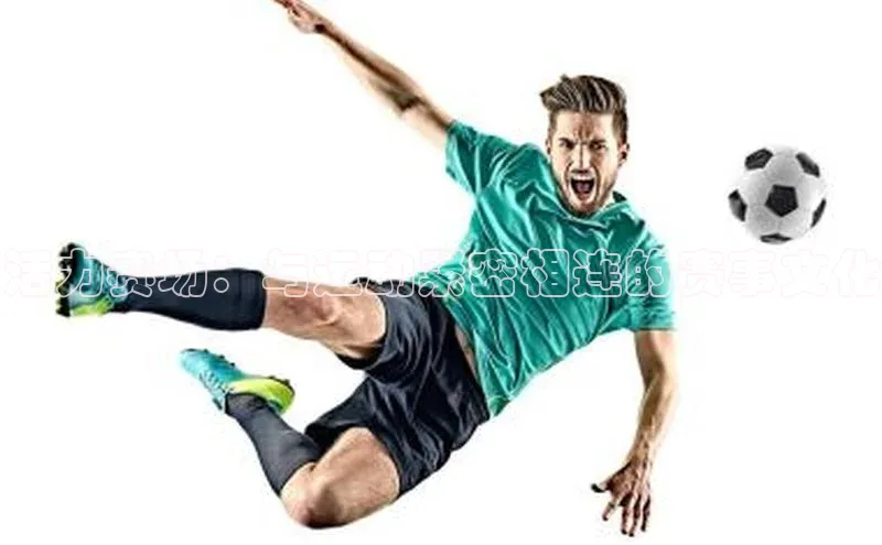 活力赛场：与运动紧密相连的赛事文化