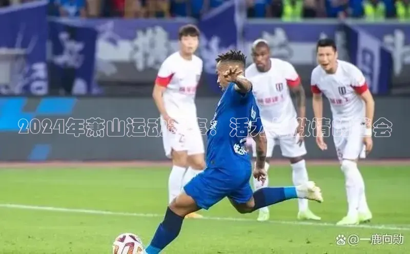 2024年萧山运动赛事：活力与激情的盛会