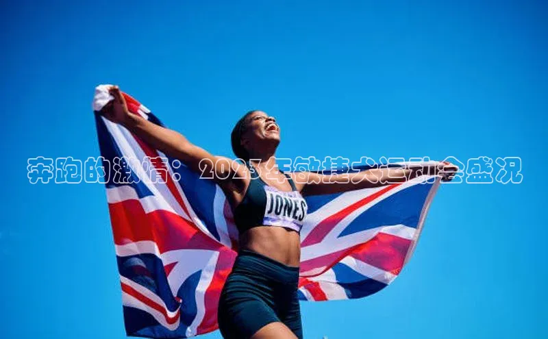 奔跑的激情：2023年敏捷犬运动会盛况