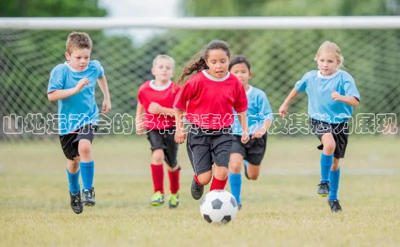 山地运动会的多样赛事组成及其魅力展现