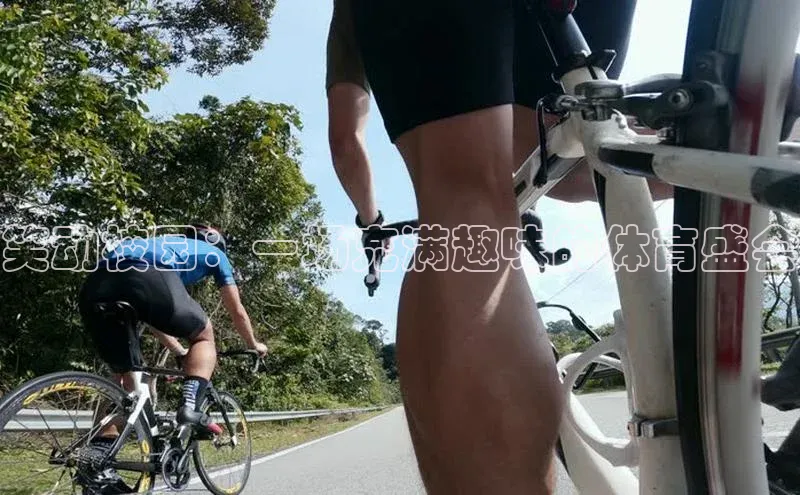 笑动校园：一场充满趣味的体育盛会