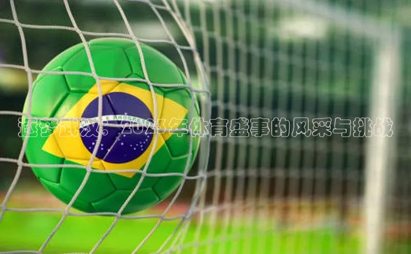 逐梦武汉：2023年体育盛事的风采与挑战